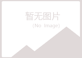 铜官山区夏青机械有限公司